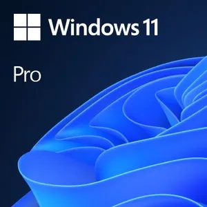 SOFTWARE WINDOWS MICROSOFT DSP WINDOWS 11 PRO CRO 64-BIT, FQC-10524