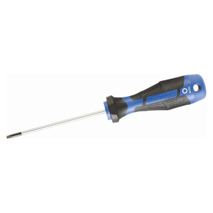 Torx odvijač LUX TX10x100