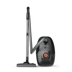 Usisavač s vrećicom Rowenta RO6164EA