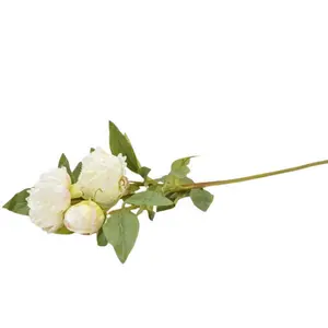 Rezano cvijeće Grana peonije bijela 77 cm