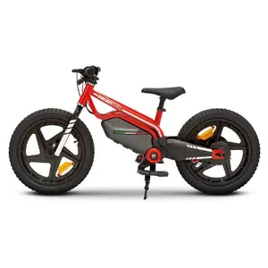 Ducati E-Moto Kids