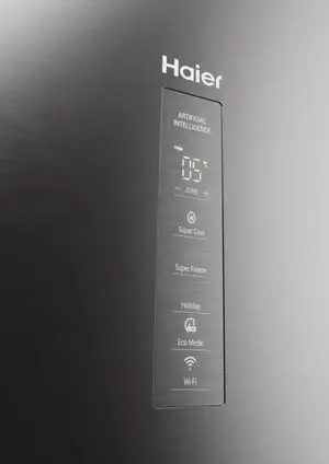 Samostojeći hladnjak HAIER HDPW5620DNPK-4
