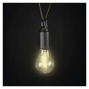 Emos Bulb ručna svjetiljka LED, USB napajanje P4719-2