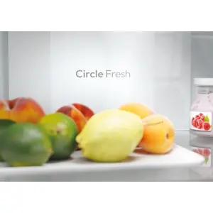 Samostojeći hladnjak Candy ECN2CQTEB186-7
