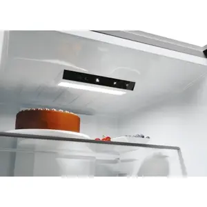 Samostojeći hladnjak Candy ECN2CQTEX206-4