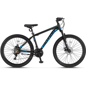 MTB bicikl MOTION 26 14 V21