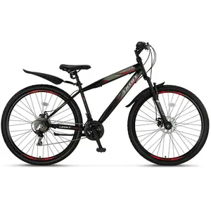 MTB bicikl Faster 29 2D V21