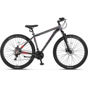 MTB bicikl Motion 29 18 V21