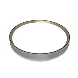Plafonjera Ferotehna LED 24W 1440 lm DIP CCT 3000/4000/6500K IP20 38cm Silver Brushed Hazel
