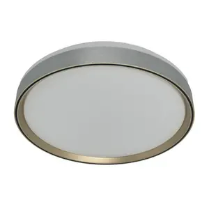 Plafonjera Ferotehna LED 36W 2160 lm DIP CCT 3000/4000/6500K IP20 48cm Silver Brushed Hazel